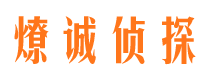 陆丰侦探公司